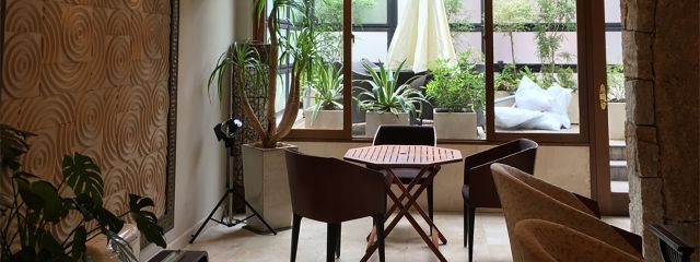 観葉植物がもたらすオフィスへの効果とレンタル観葉植物の良いところ