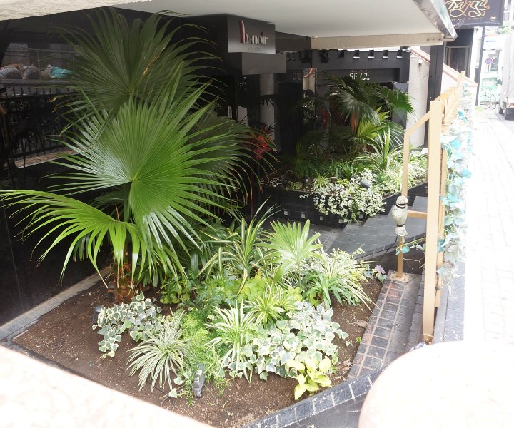 観葉植物を設置した店舗の外観