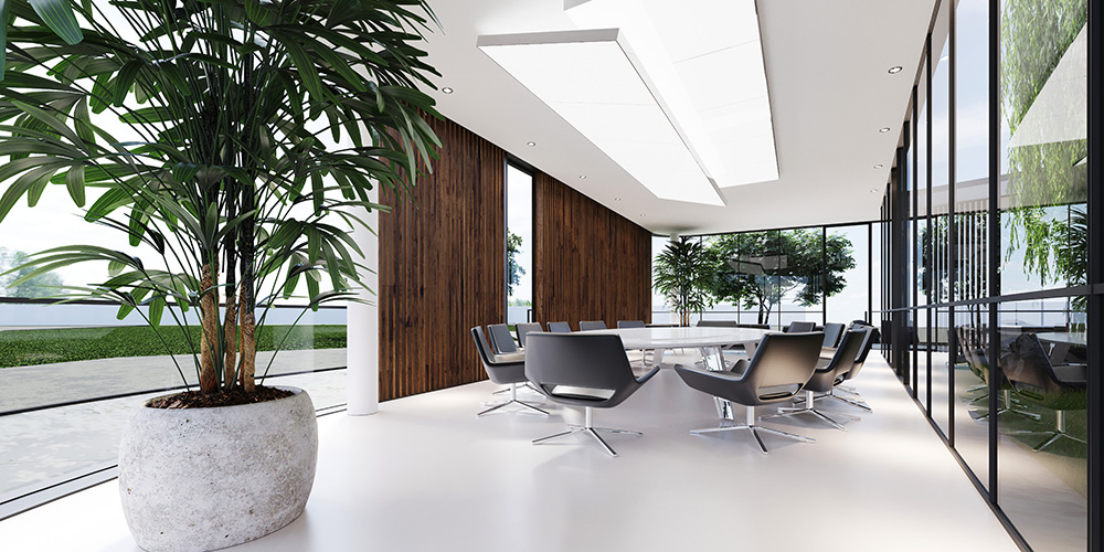 大きな観葉植物と大きなプランター 飾り方と管理の注意点 東京の観葉植物レンタルはkirin Plus キリンプラス