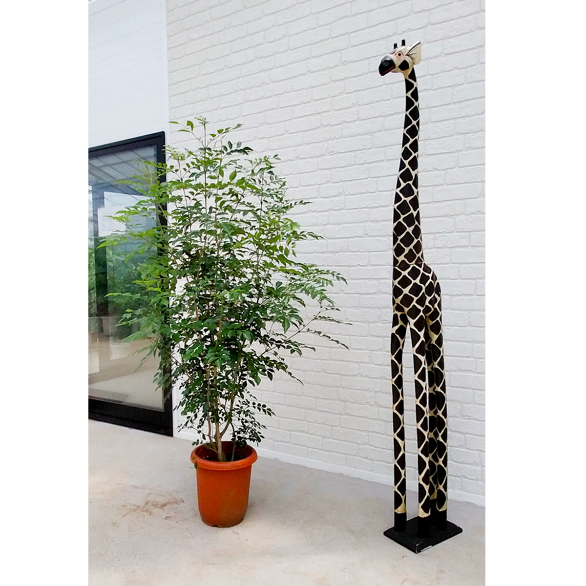 シマトネリコ ST004」 高さ1.8m | 東京の観葉植物レンタルはKIRIN PLUS  