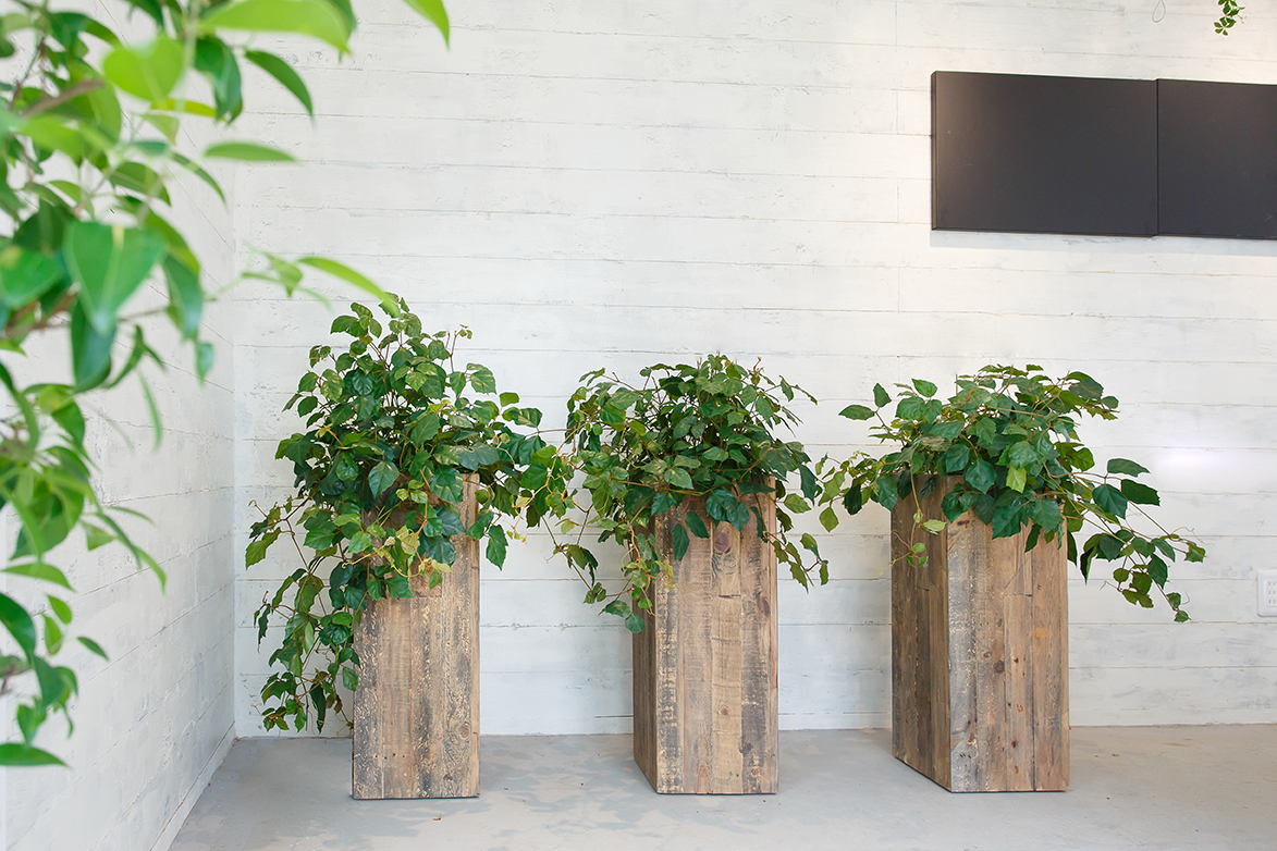オフィスでの観葉植物の飾り方 東京の観葉植物レンタルはkirin Plus キリンプラス